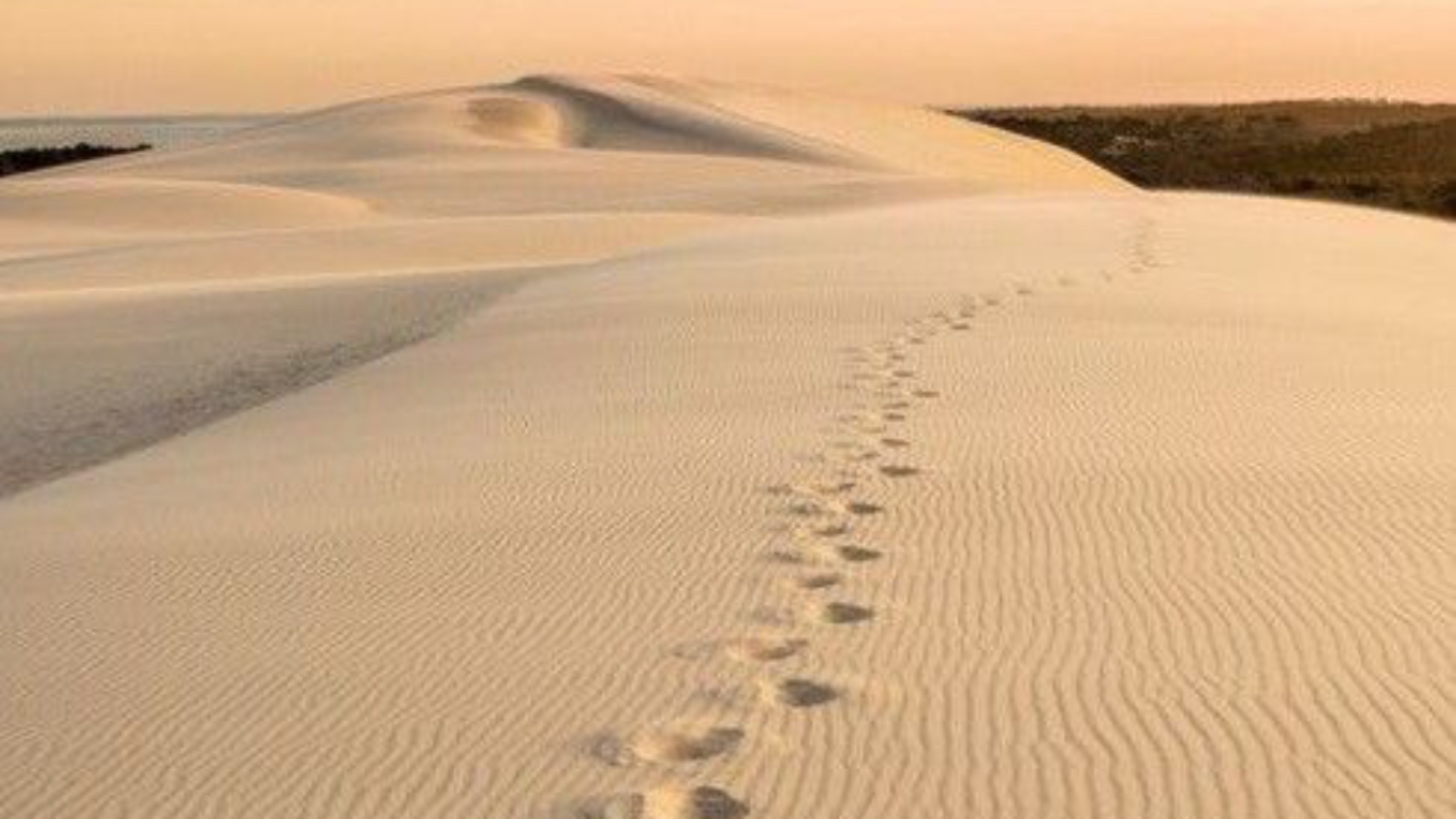 Footprints leading over a sand dune at sunset