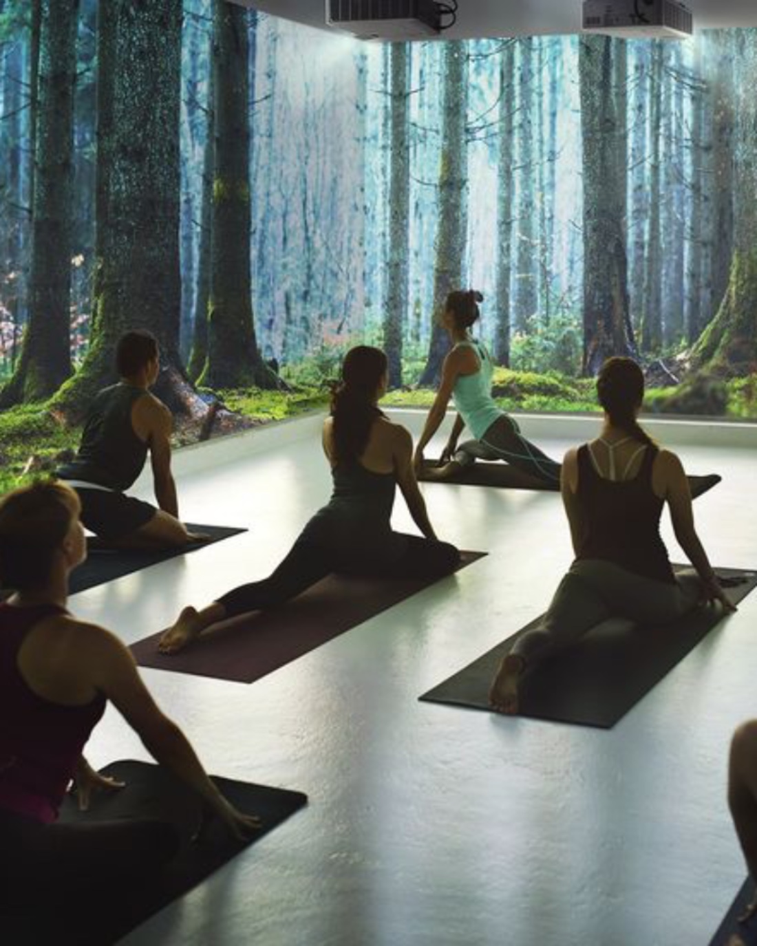 A yoga class stretching on mats with a forest projected on the walls around them