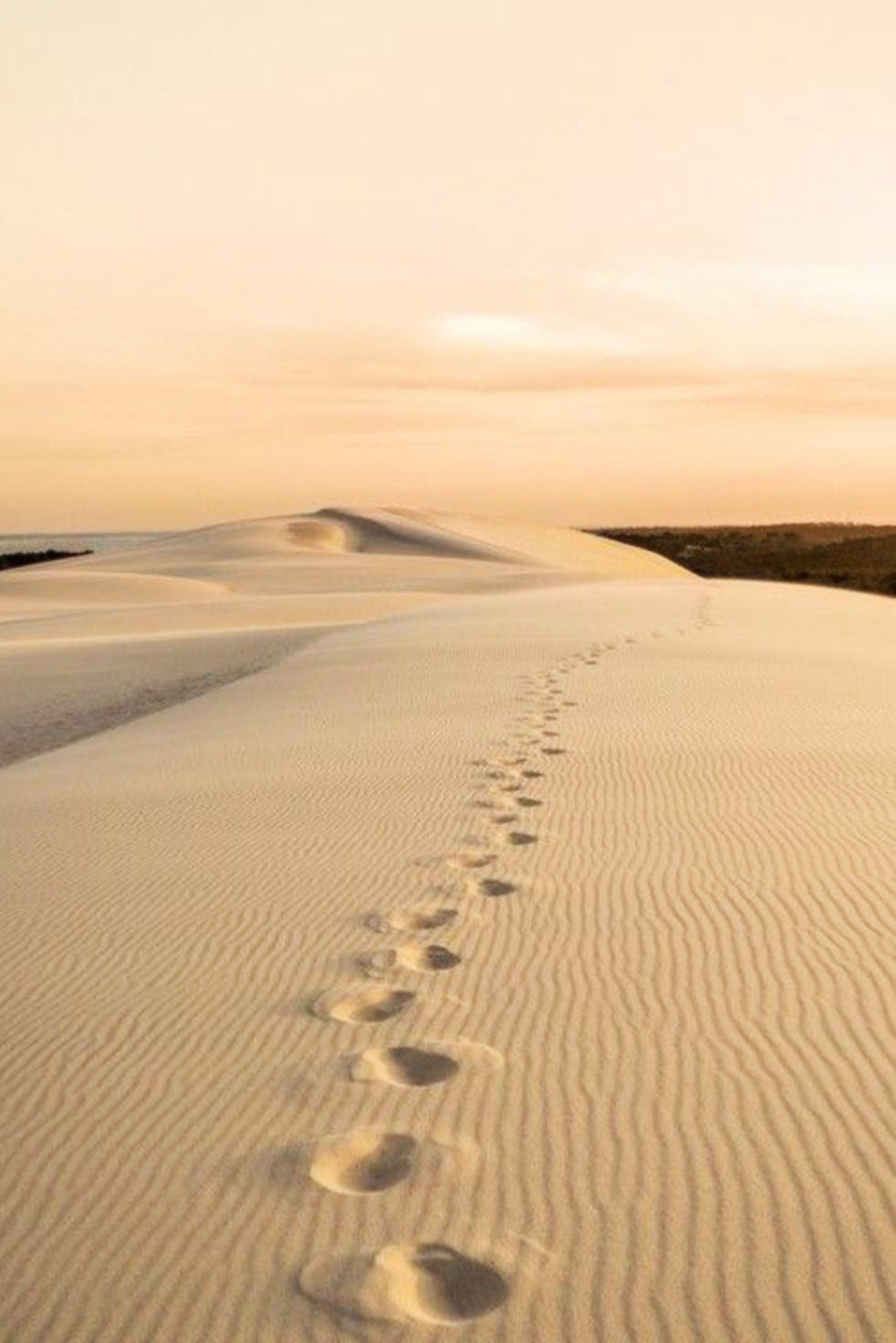 Footprints across a dune at sunset